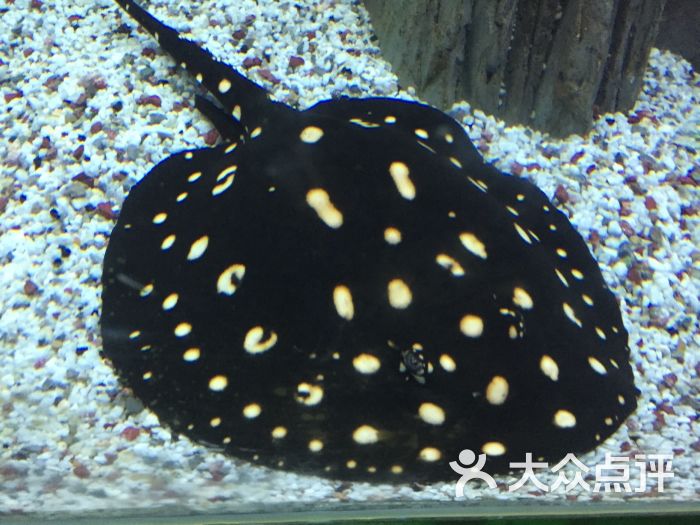 常州金鹰海底世界-图片-常州景点-大众点评网