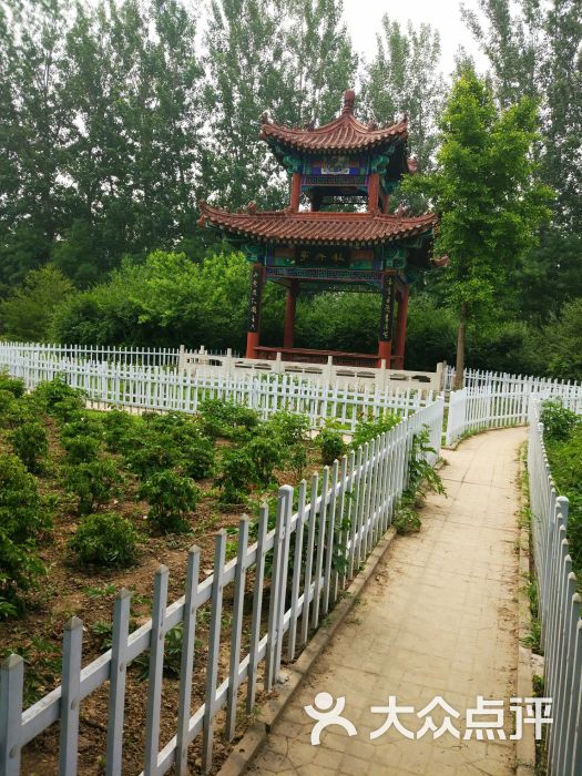 植物公园-图片-高碑店市周边游-大众点评网