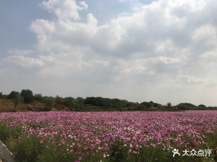 马场山景区图片 第12张