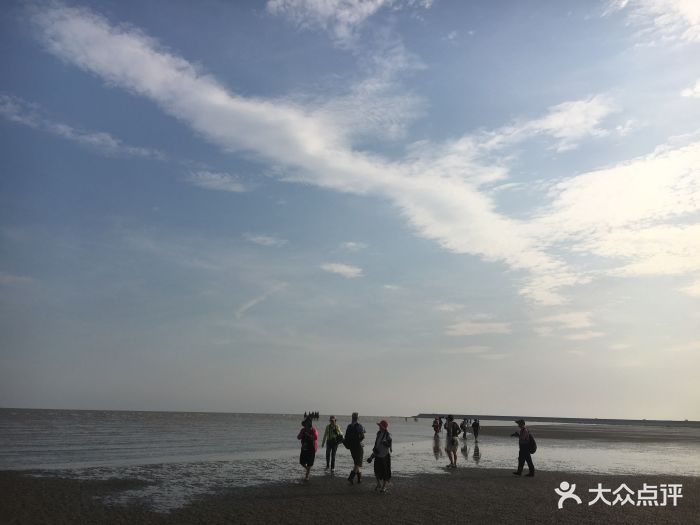 海湾旅游区渔人码头-景点图片-上海周边游-大众点评网