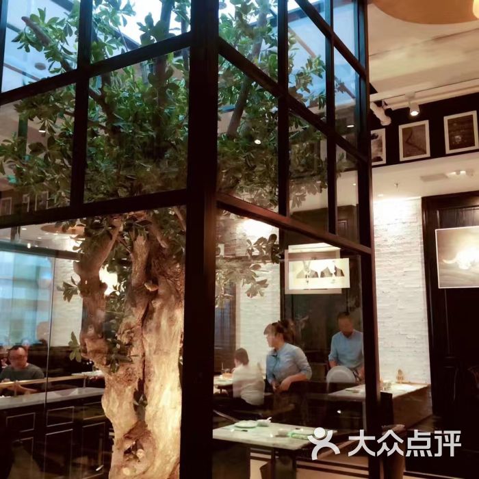 大树餐厅(柏威年购物广场店)图片 第2张