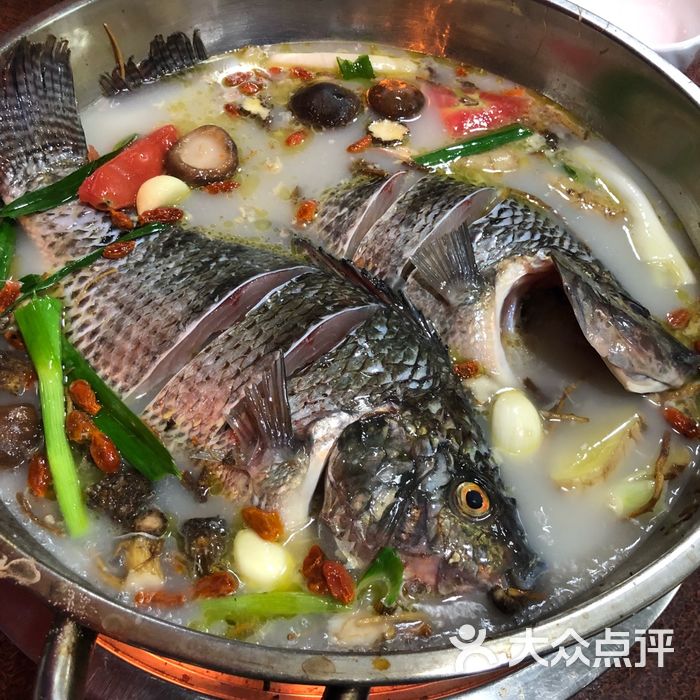 沾水罗非鱼图片-北京火锅-大众点评网