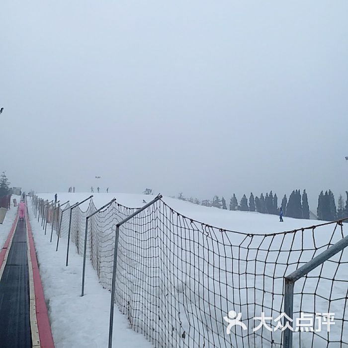 香草园滑雪场-图片-章丘周边游-大众点评网