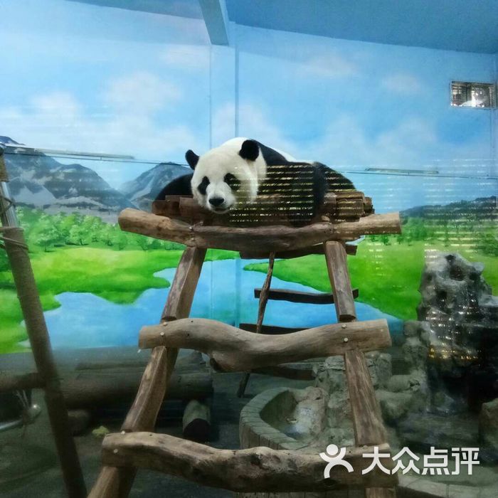 柳州市动物园