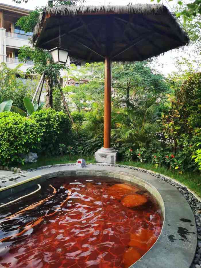 森林海温泉水乐园-"过年时候去的,现在来补评价[调皮]