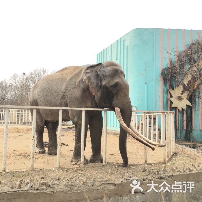 天津动物园图片 第3张