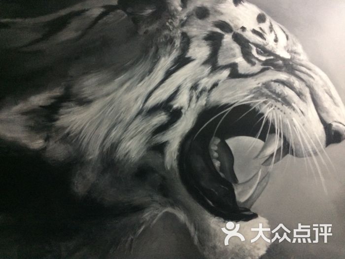 北京御斗拳馆-图片-北京运动健身-大众点评网