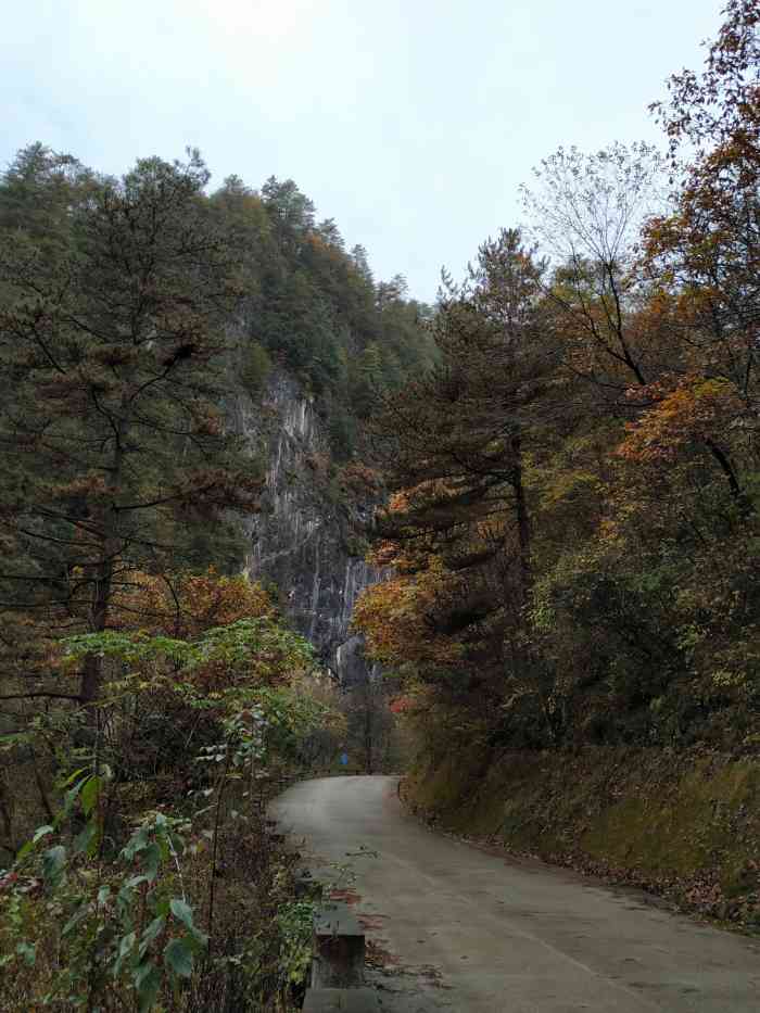 朝阳沟-"宁陕县皇冠镇朝阳沟,绝对是一个避暑胜地…."-大众点评移动版