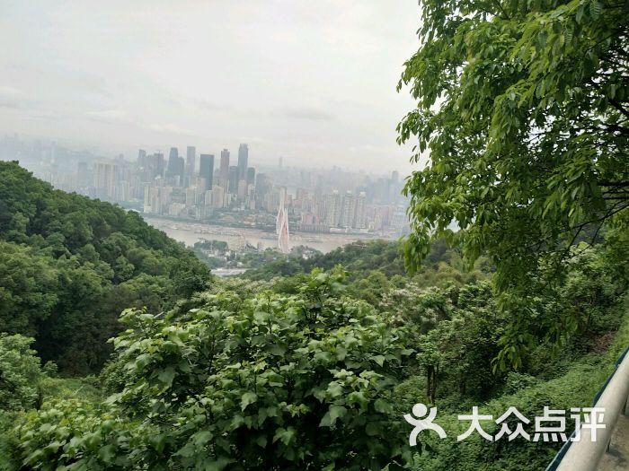 南山丽景度假酒店图片 - 第38张