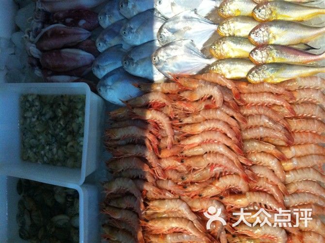 海鲜种类大全图片名称_海鲜礼盒种类_海鲜虾的种类(3)