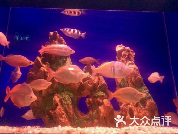 盛贝特海洋水族馆图片 - 第16张