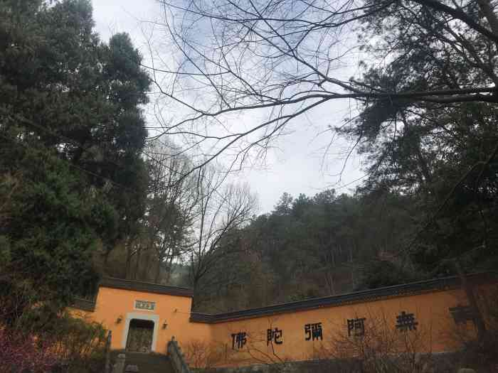 玉泉寺-"玉泉寺位于乌龙山,而乌龙山位于浙江省建德."-大众点评移动版