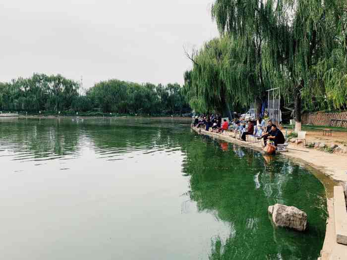 海子垂钓园-"在新发地往南,海子公园西门,导航新发地.