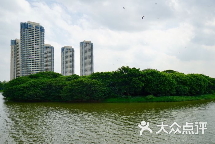 绿岛湖湿地公园图片 - 第3张