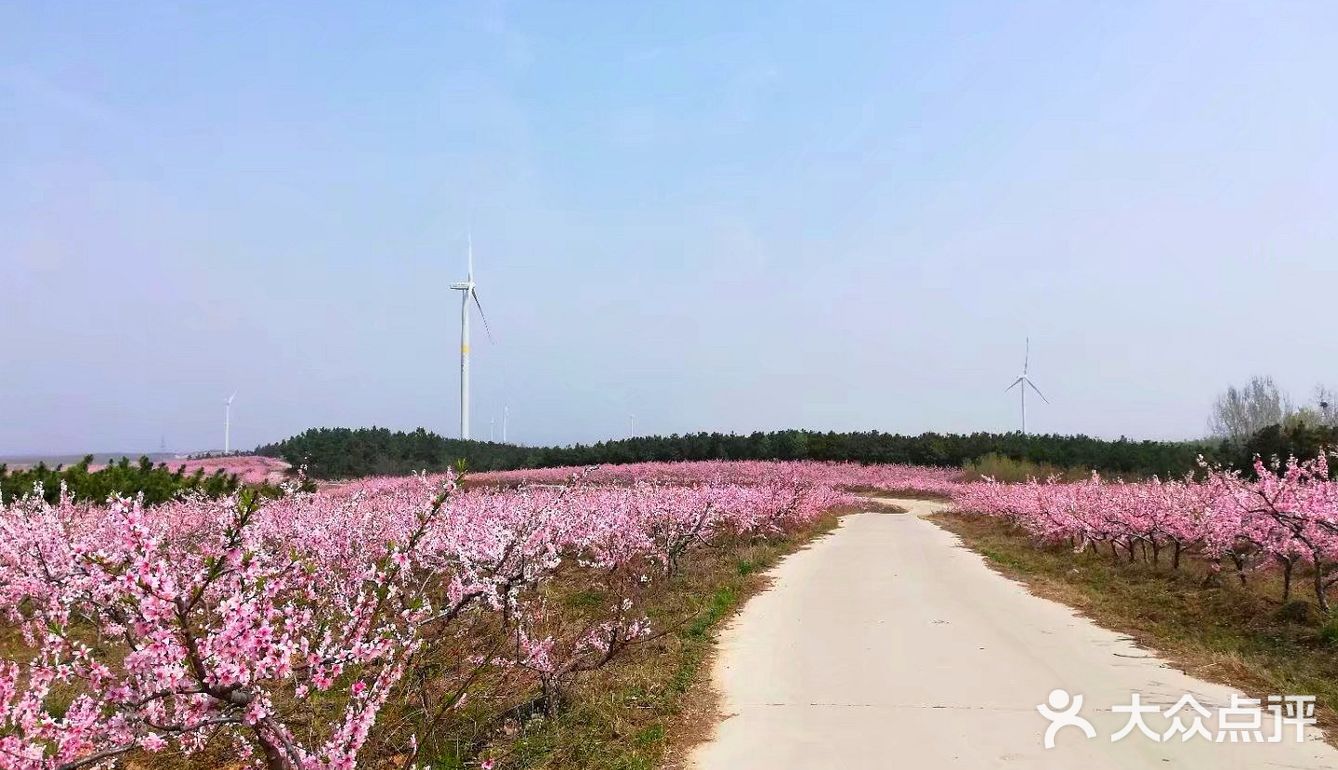 安徽滁州明光三界镇～吴岗村