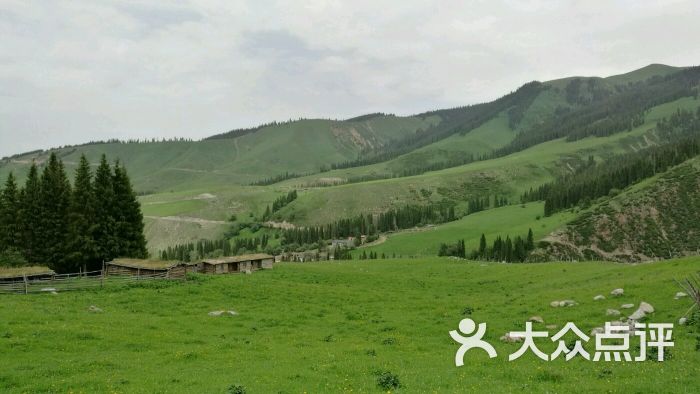 坡陇原始森林景区-图片-叶城县周边游-大众点评网