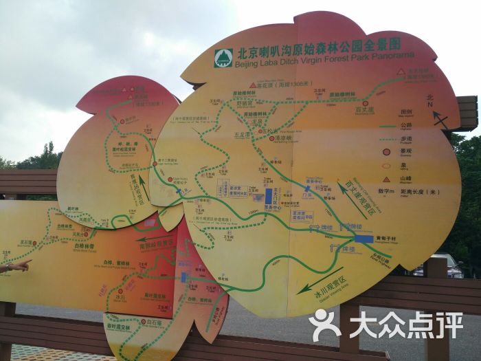 喇叭沟原始森林公园图片 第9张