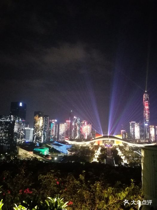 深圳市区面积不大,各种公园却不少。这个莲.