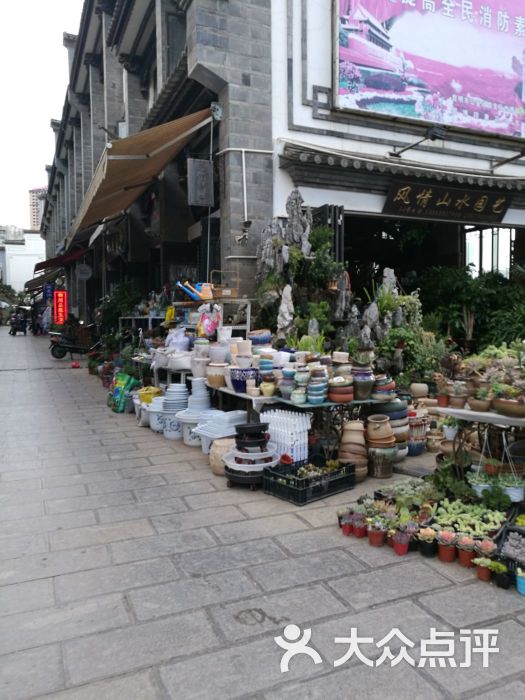 园博印象花鸟市场-图片-昆明宠物-大众点评网