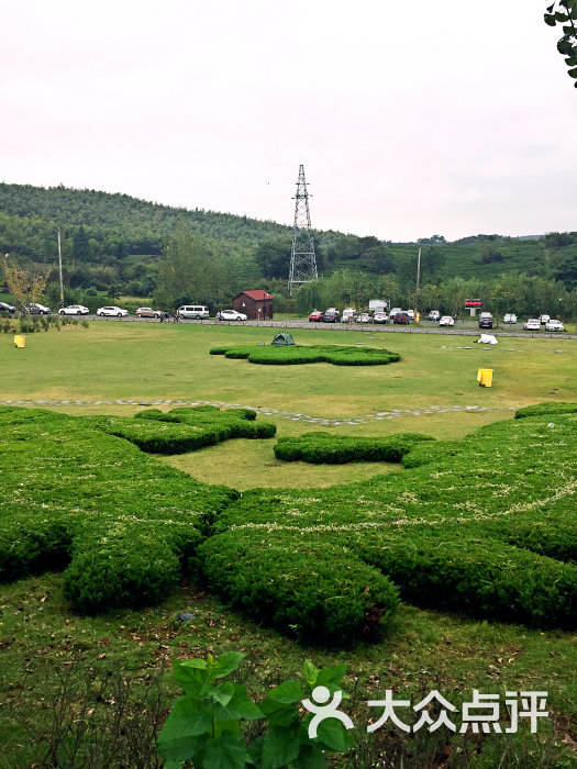 黄龙岘金陵茶文化旅游村图片 第518张