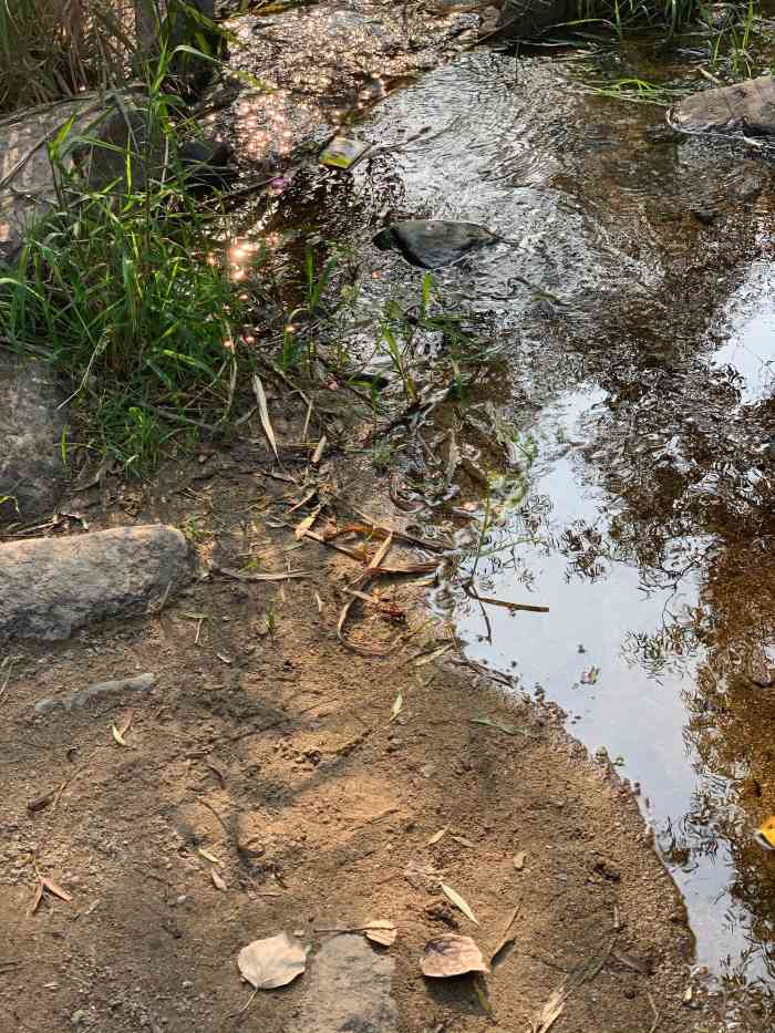 跋山涉水来这边,看到的是一片荒山野岭