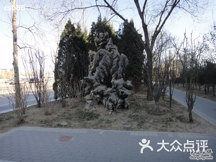 德胜公园dsc01912图片 - 第34张