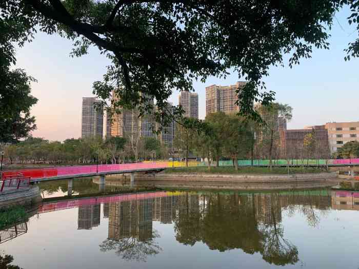 石龙城市公园-"之前来石龙没走过这里感觉晚上过来就.
