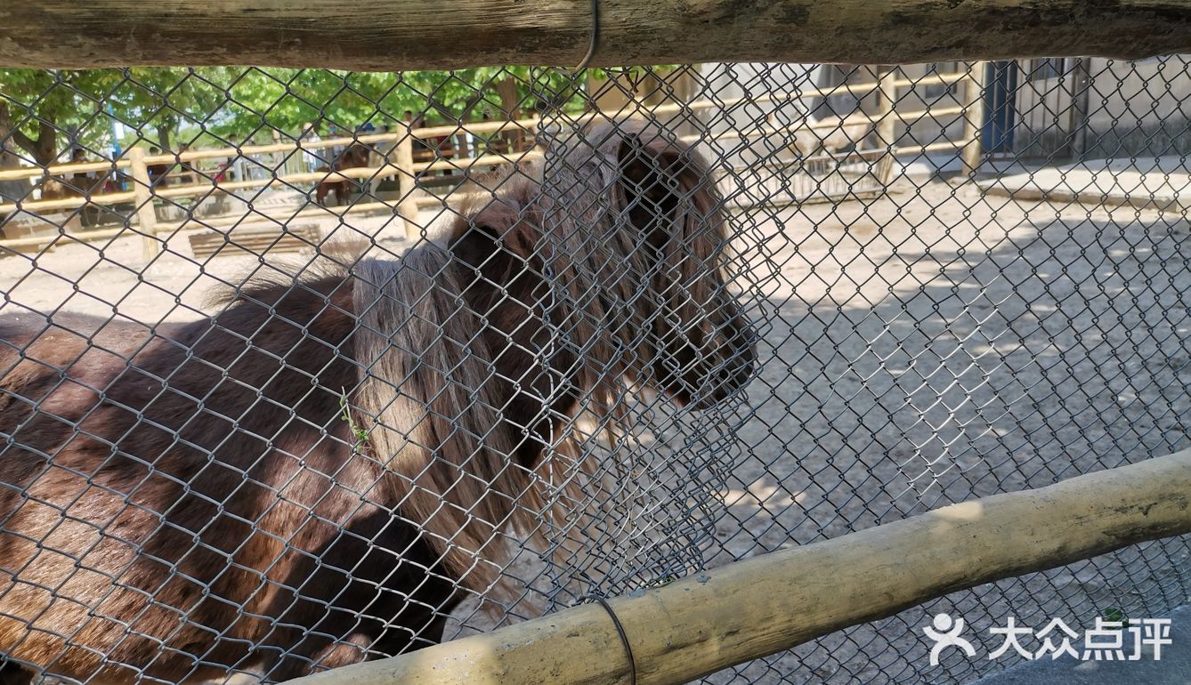 秦岭野生动物园