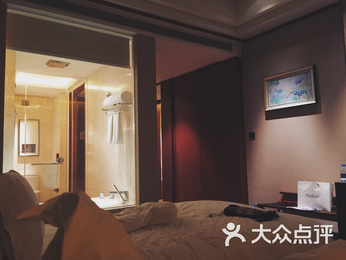 嘉舟丽港酒店-标间图片-南充酒店-大众点评网
