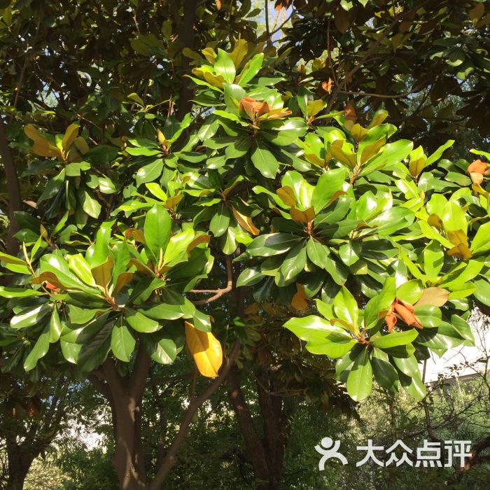 庙港文化公园图片 - 第2张
