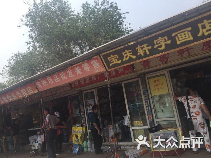 千里堤花鸟鱼虫市场-图片-天津购物-大众点评网