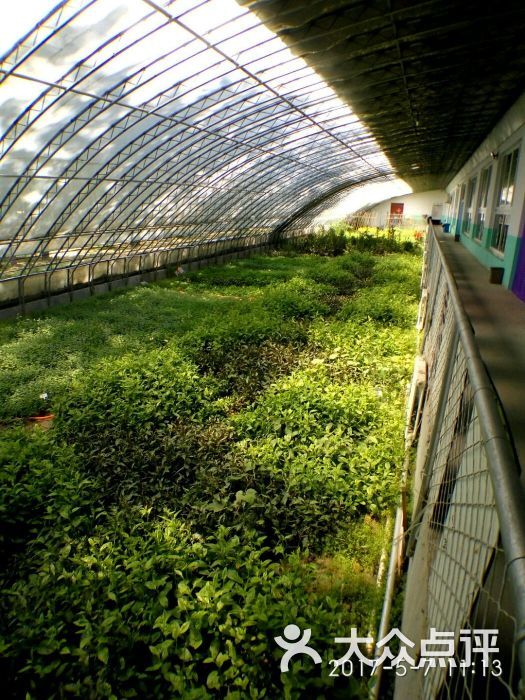 王木营蔬菜种植专业合作社图片 - 第9张