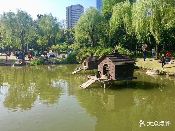 新虹桥中心公园图片 - 第446张