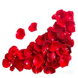 rjSfyljg87ejd-eaB09NzynJq0dgpMdIQe9et3N5-kxK3IRWkjvhwdbevh0id74VuzFvxlbkWx5uwqY2qcjixFEuLYk00OmSS1IdNpm8K8twhW7bzr4O88Ivp4FuDG0SfCF2ubeXzk49OsGrXt_KYDCngOyCwZK-s3fqawWswzk.jpg