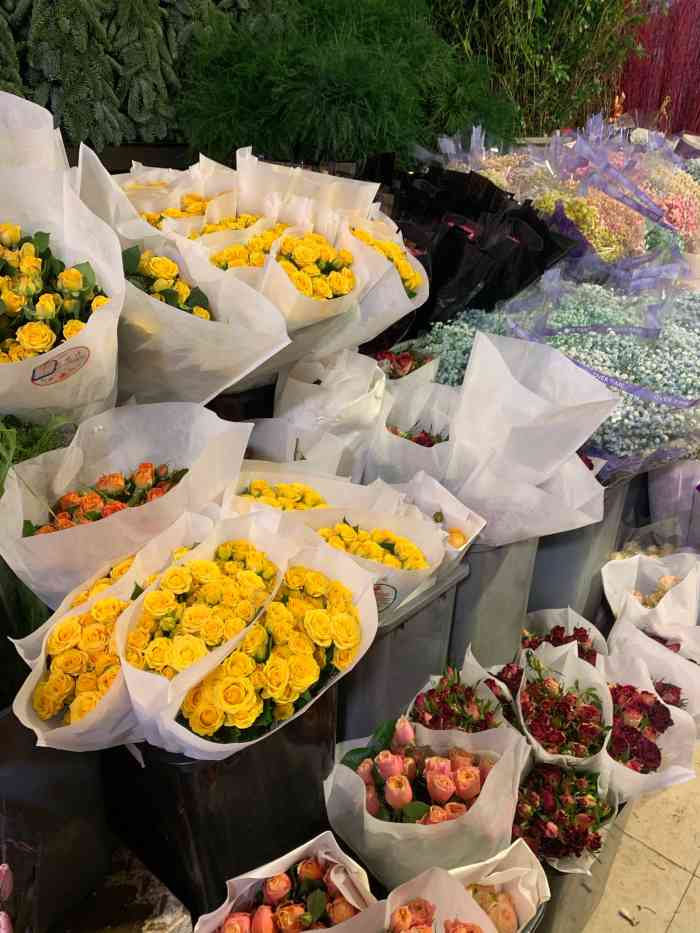 浙江凤起花鸟城"市区里的花鸟批发市场[调皮]过年买花的好.