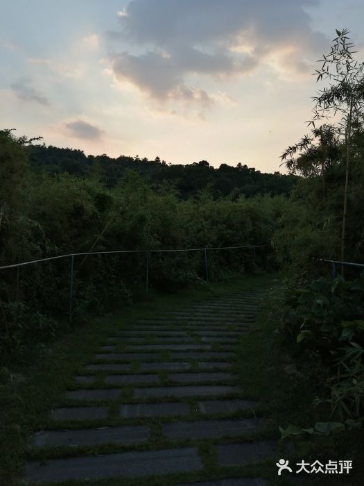 龙江龙峰山森林公园景点图片