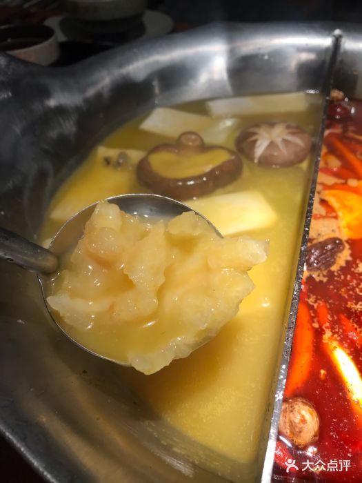 凑凑火锅·茶憩(港汇恒隆店)花胶鸡汤锅图片 - 第2503张