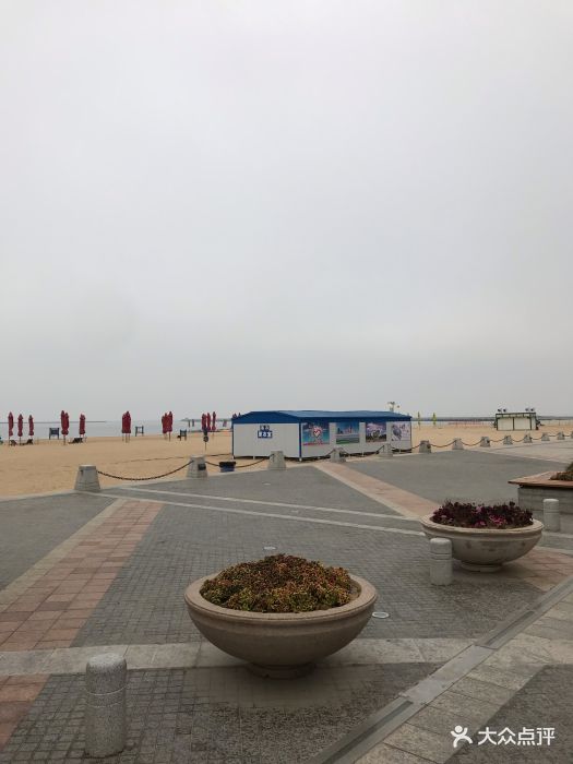天津东疆湾沙滩景区图片 第39张