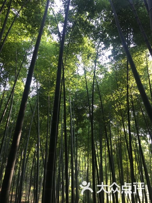 深山沟家庭农场图片 - 第8张