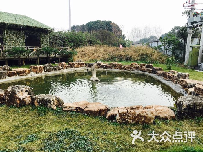 乐悠悠霞客岛拓展基地-图片-江阴休闲娱乐-大众点评网