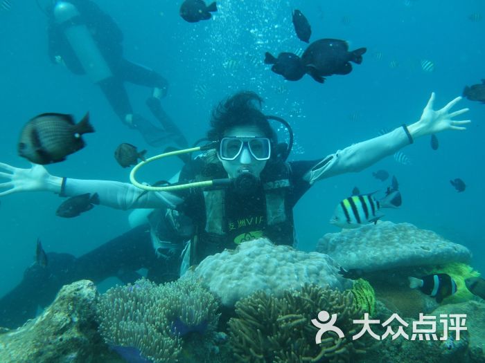 蜈支洲岛珊瑚礁潜水俱乐部图片 第1张