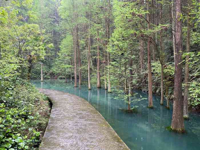 大山冲森林公园-"大山冲自驾游金山银山不如绿水青山!