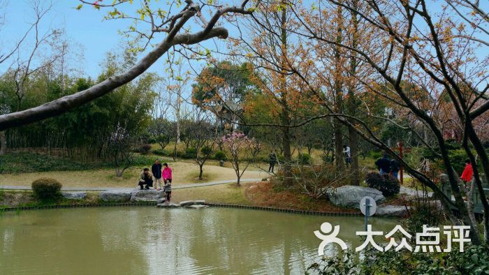 莘庄公园图片 - 第3张