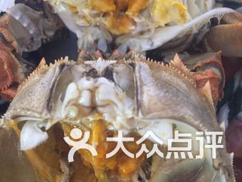 哪里的大闸蟹才好吃 rq6wt4URtfNlGTgaSUPFmhH1B8j36kk930JuaeFiik9CyxN4xcyDFLCcE13F4Vves9bU8u7TlyVW3ovyQ7Jtmw.jpg