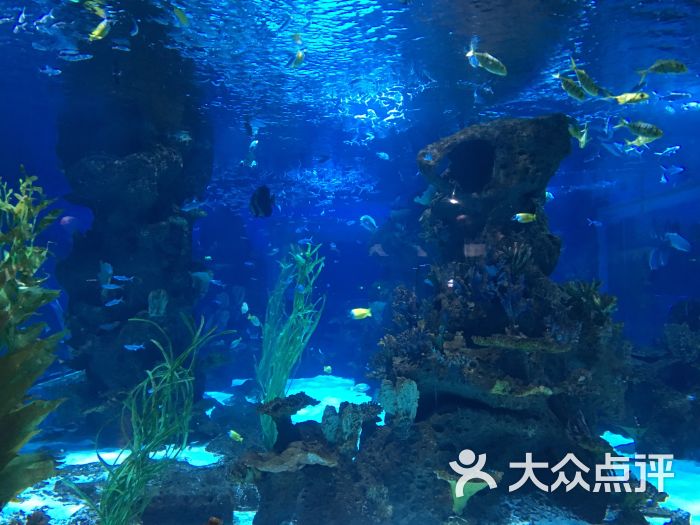 兰州极地海洋世界图片 第15张