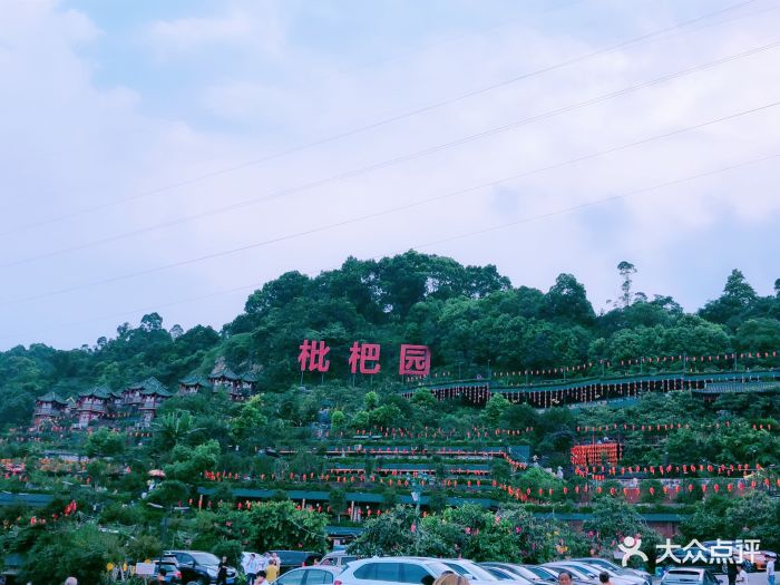 枇杷园食为鲜火锅-环境图片-重庆美食-大众点评网