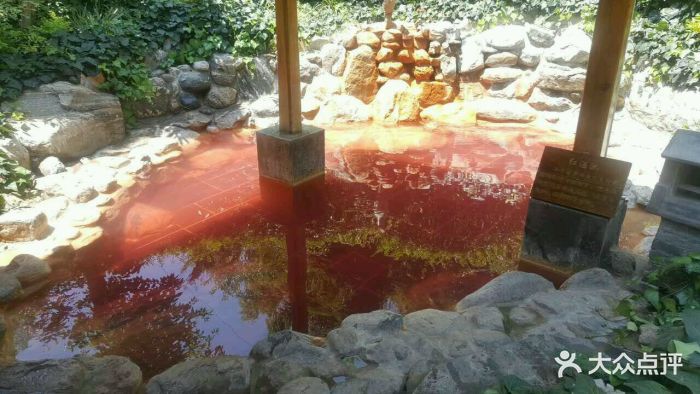 汤池热水河温泉spa会所图片