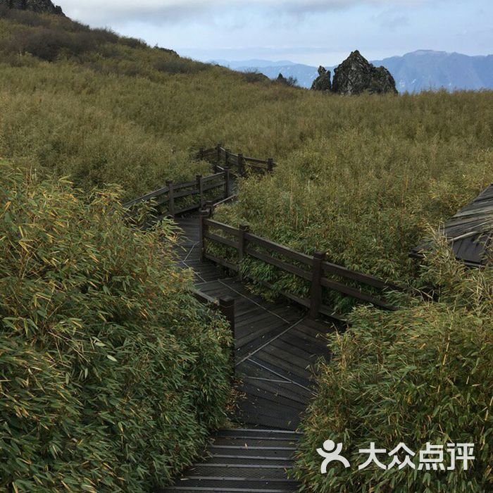 神农顶景区