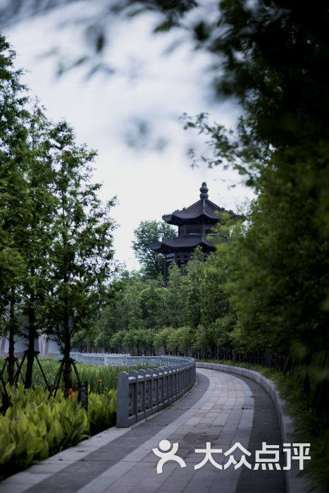 望湖公园-图片-临安周边游-大众点评网