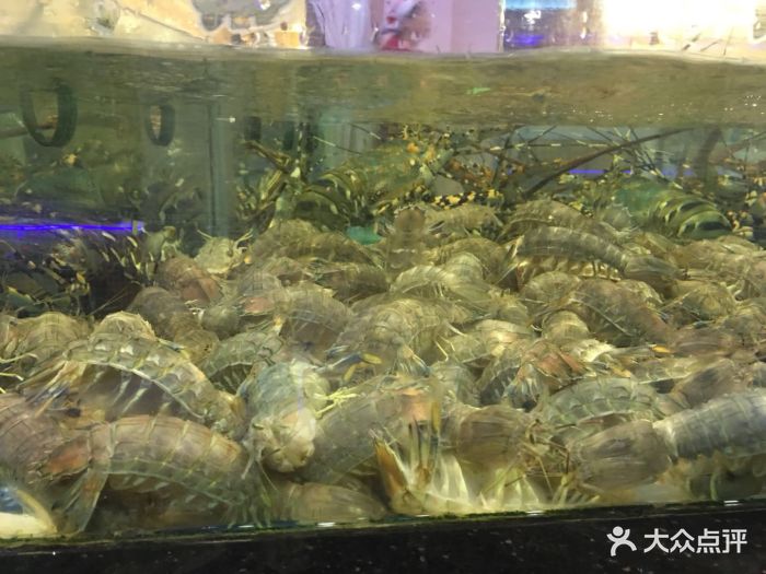 常胜海鲜城(袁山贝店)图片 - 第65张